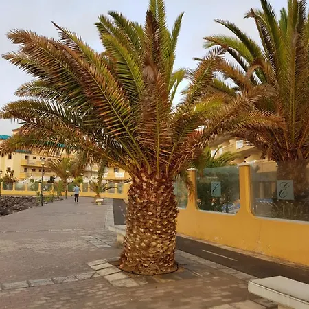 Appartement Casa Mia